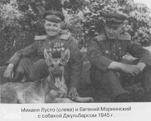 Неизвестная война. Собаки Победы