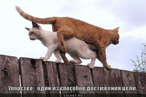 10 секретов богатства — Болталка и разговоры обо всем: жизнь