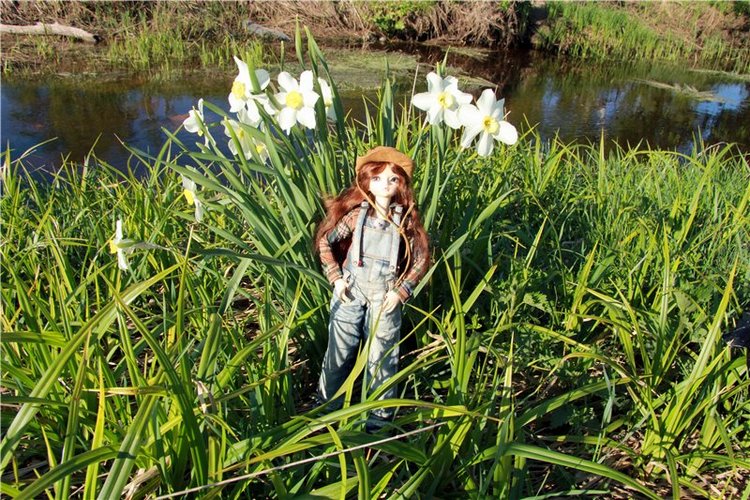 Субботний вояж. Заключительная часть