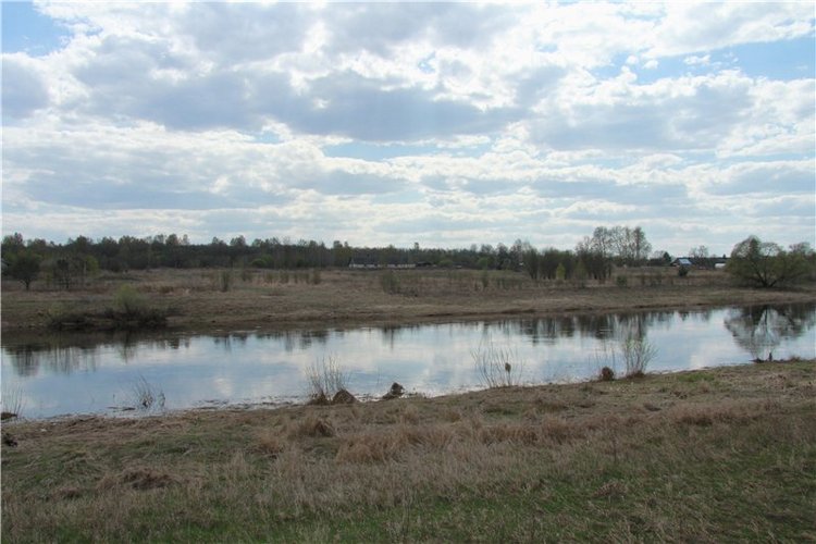 На водопад с Райли. Riley от автора Helen Kish