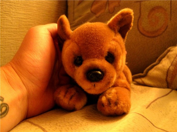 В гостях у сказки — Встречи коллекционеров кукол (кукловстречи): анонсы