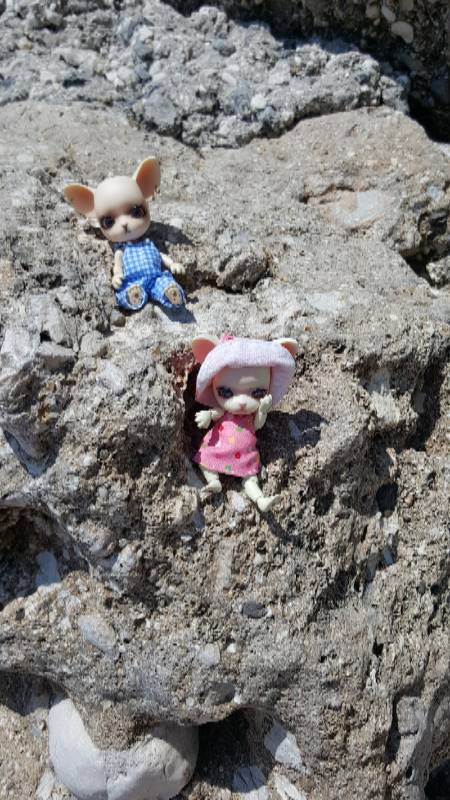 Новое путешествие Панг-Панга (фото 5)