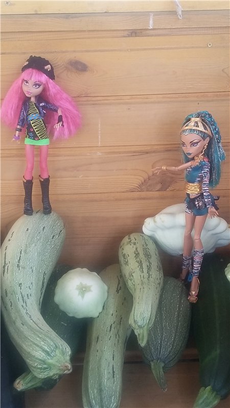 В гостях у бабушки ))) или яркое лето 2016 с девочками от Монстр Хай | Бэйбики В гостях у бабушки ))) или яркое лето 2016 с девочками от Монстр Хай