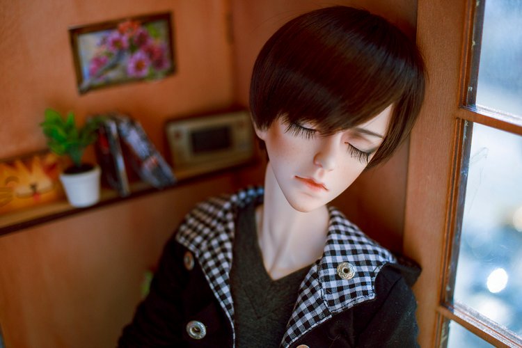 Фотоистория "Котик" — Фотоистории с куклами BJD (БЖД): сериалы (фото 5)