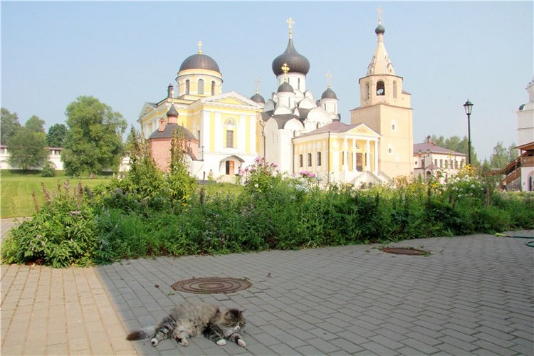 Старицкий православный фотофестиваль. Старицкий Свято-Успенский монастырь