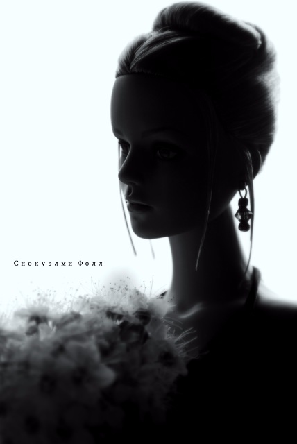 Посторонним В... или для любителей кукол Роберта Т (фото 6)