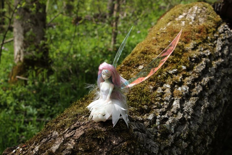 Снова 2 девочки, совершенно разные. Фея и японская школьница