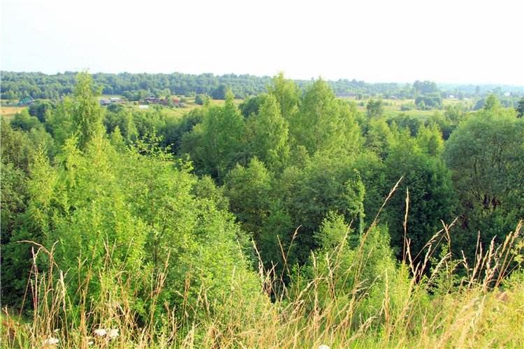 Тверской Водопад — Туризм и путешествия: фотоотчеты из поездок