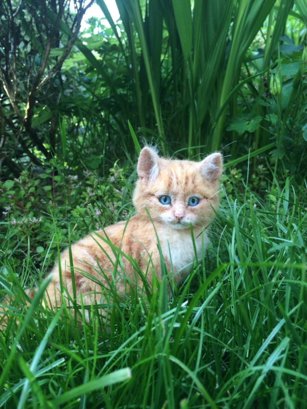 Калейдоскоп моих кукол. Часть 3