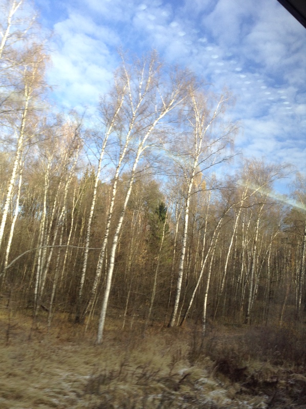 Белое солнце пустыни. Ч.1 Дорога к морю (фото 3)