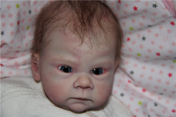 Любимый птенчик, кукла реборн Тейлор