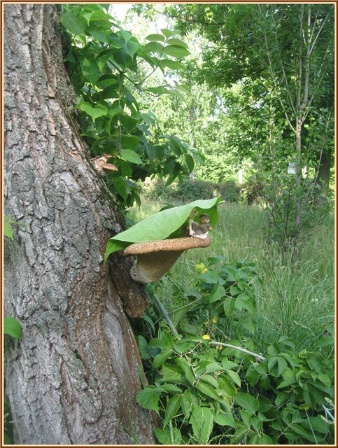 Путешествие Яшки | Бэйбики Путешествие Яшки — Куклы Fairyland (ФэйриЛэнд): BJD (БЖД)