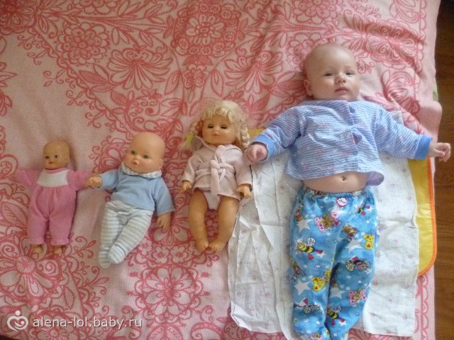 Коллекционер никогда не плюнет в колодец времени или Не покупайте с рук Рубенса, могут подсунуть Рембрандта