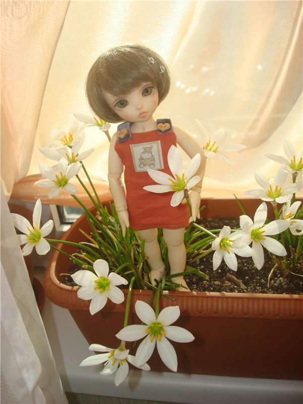 Наши малышки (худжио и Литлфи Луна)