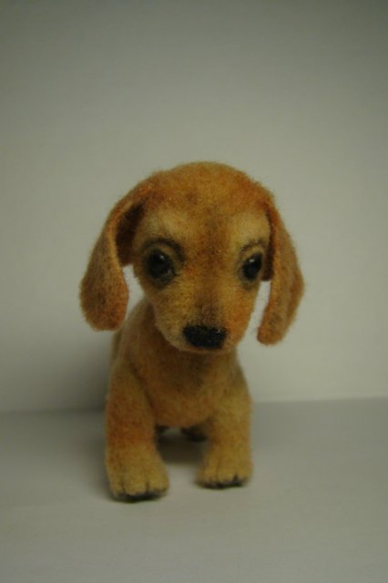 Таксик. Авторская игрушка валянием Ольги Чернухо (фото 7)