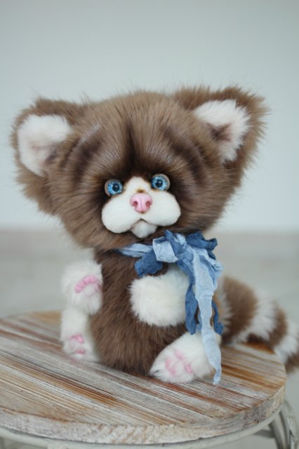 Голубоглазый котик-обормотик Мишка (фото 7)