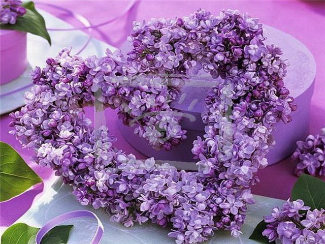 Сиреневые цветы весны | Бэйбики Сиреневые цветы весны — Одежда и обувь для кукол своими руками: фото