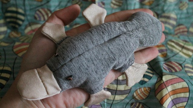 Утконосы для поднятия настроения (фото 2)