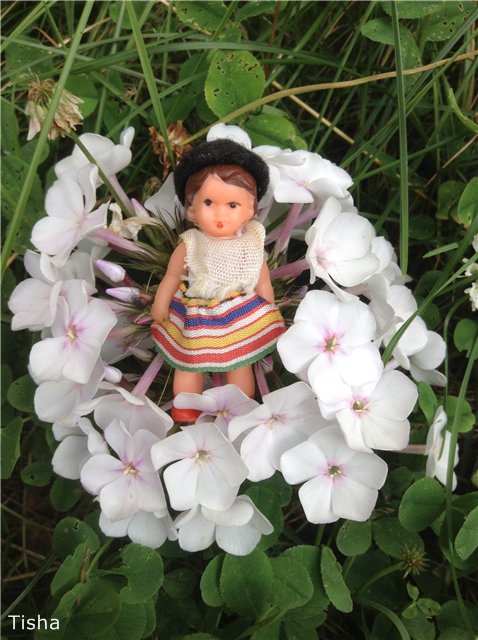 Малышки Аришки и две неизвестные мне Немочки