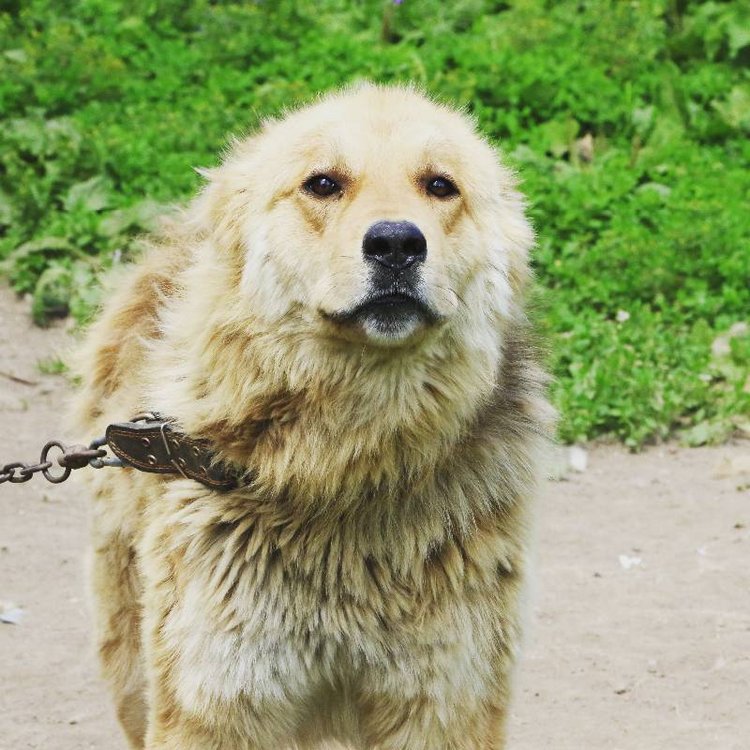 Те, кто нас любит и в домашнем халате, и без косметики, и растрепанными | Бэйбики Те, кто нас любит и в домашнем халате, и без косметики, и растрепанными (фото 4)