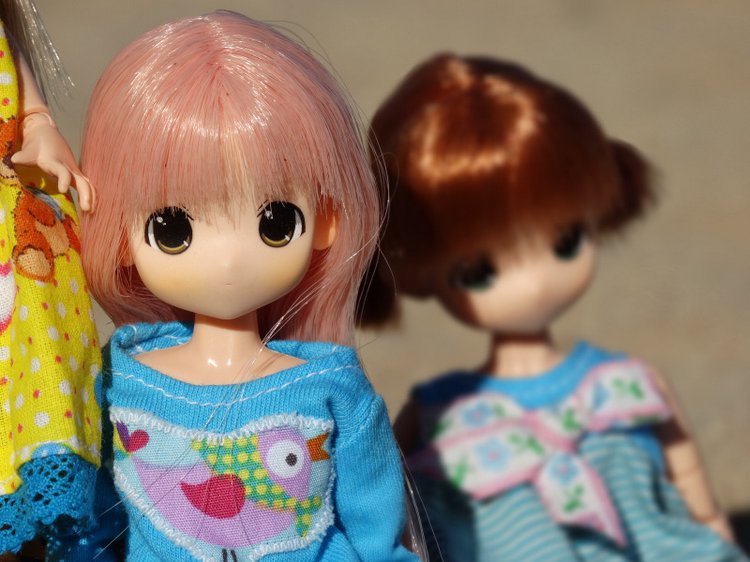 Воспоминание о лете. Куколки мамачап