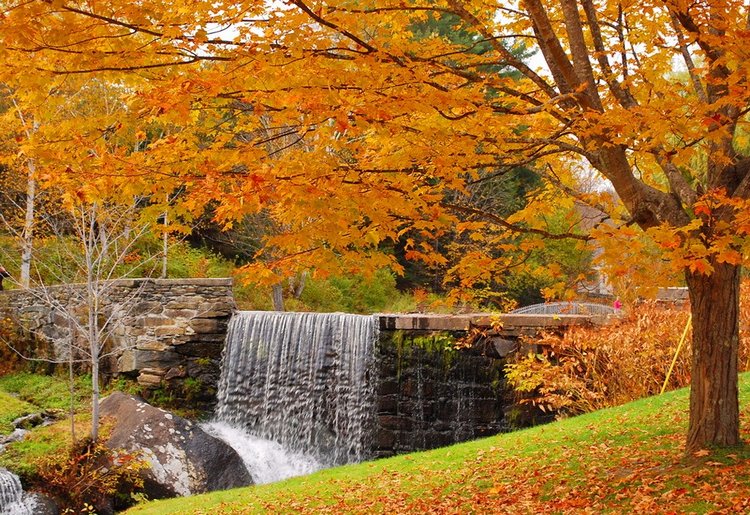 Красотка-осень — Болталка и разговоры обо всем: жизнь
