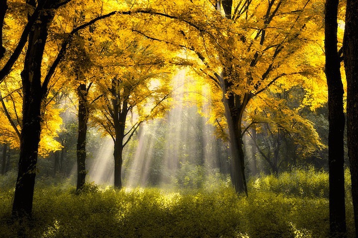 Осень. Сказка для взрослых