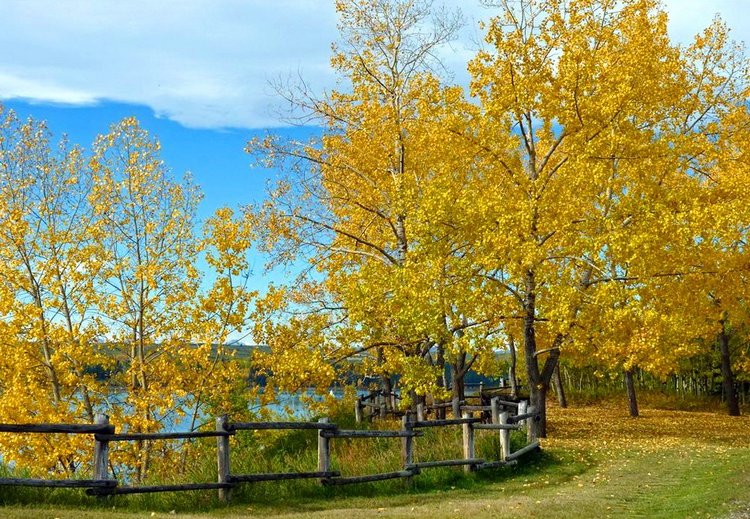 Красотка-осень — Болталка и разговоры обо всем: жизнь