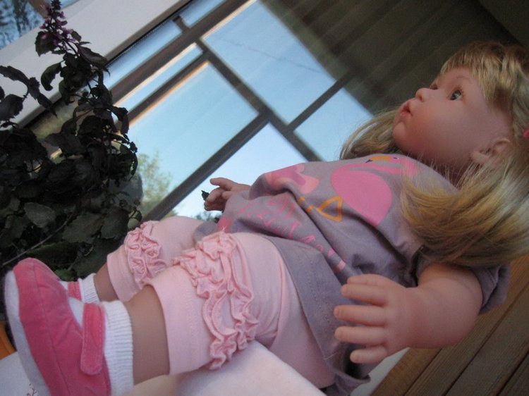 Милейшее создание с двумя хвостиками