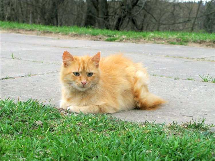 Майский день в Митино — Туризм и путешествия: фотоотчеты из поездок
