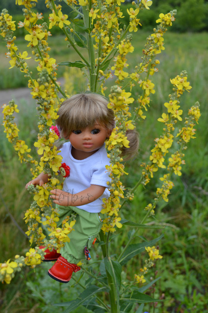 Самый маленький турист. Линда и Среда