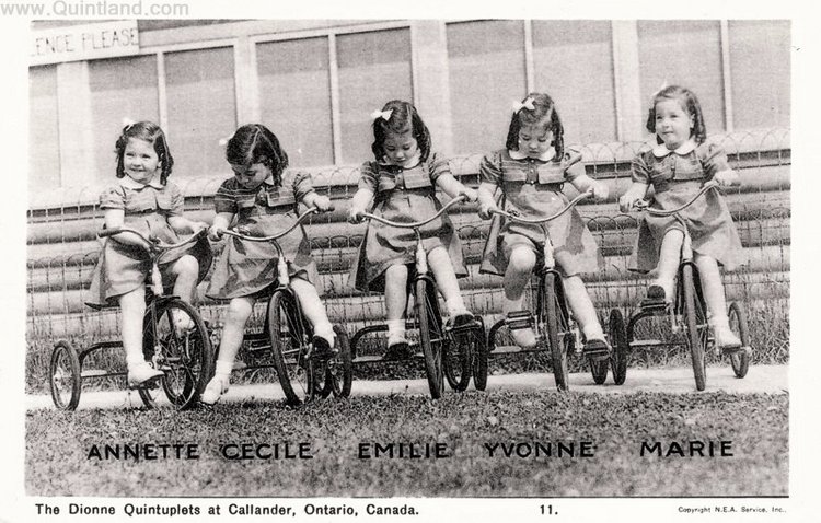 История трагической жизни, ставшая фурором кукольного мира . Часть 3 Заключение