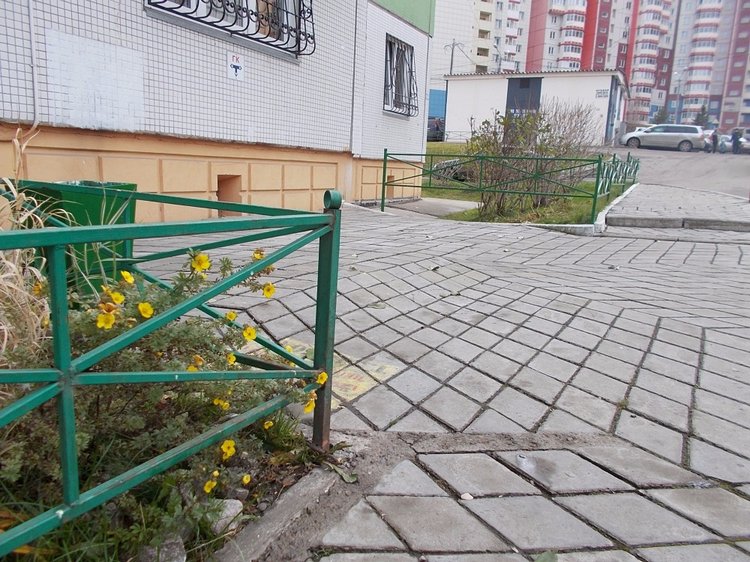 Городские зарисовки. Октябрь (продолжение)