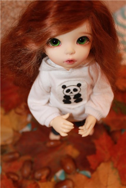 Осень у нас дома | Бэйбики Осень у нас дома — Куклы Fairyland (ФэйриЛэнд): BJD (БЖД)