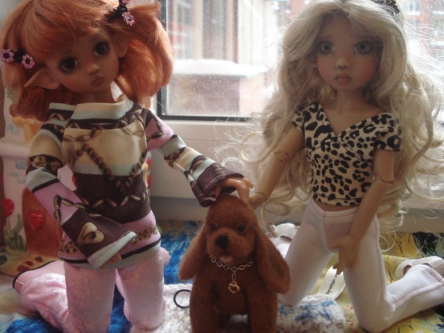 Ура! Мне подарили собаку! Лили и Тилли от Kaye Wiggs обзавелись питомцем (фото 8)