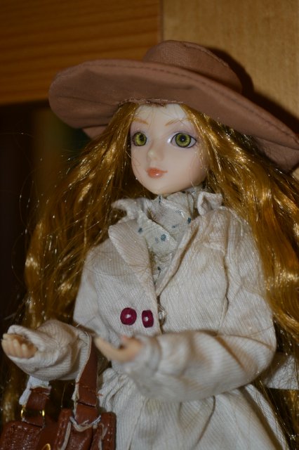 Что делают куклы, когда нас нет... (Коллекция J-dolls)