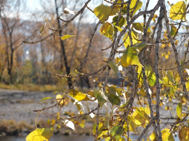 Осень золотая пора. Натали, LUTS (мейк от WOLKOLAK)