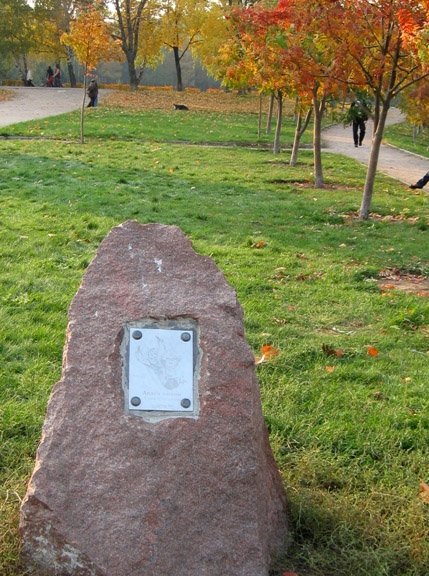 Рябиновый день — Куклы и тела Obitsu (Обитсу): 1/6