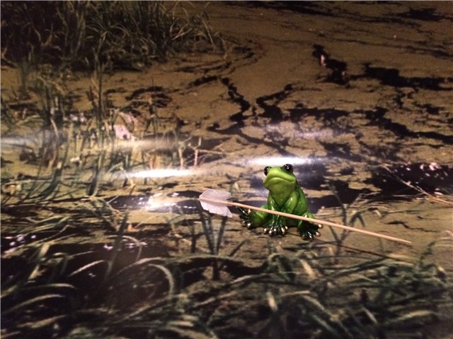 Царевна-лягушка или похождения Ивана-царевича (фото 5)