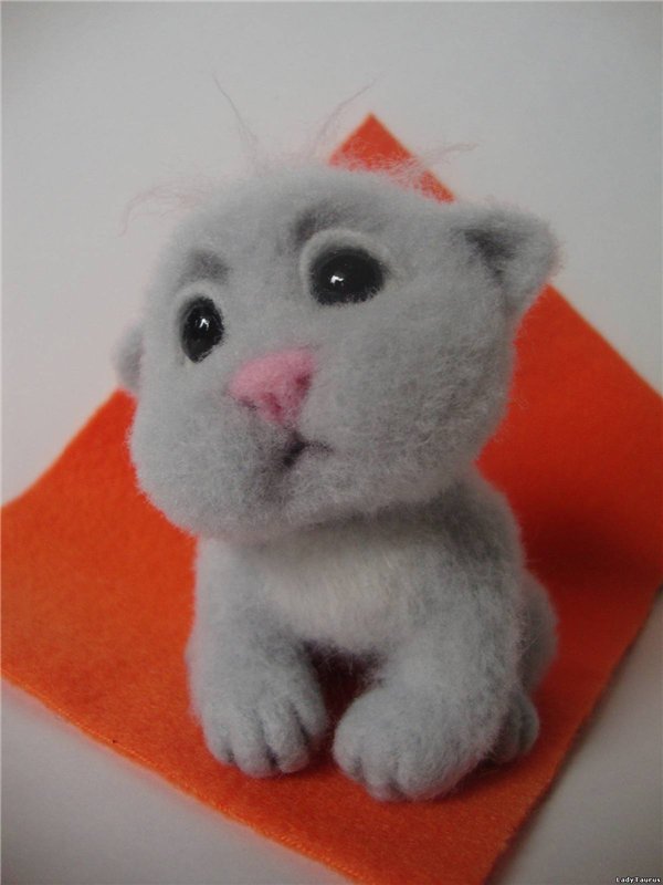 Ты откуда появился маленький (фото 4)