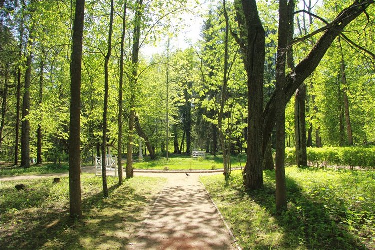 Субботний вояж. Часть вторая | Бэйбики Субботний вояж. Часть вторая