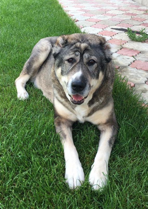 Поговорим о НЕкукольных увлечениях