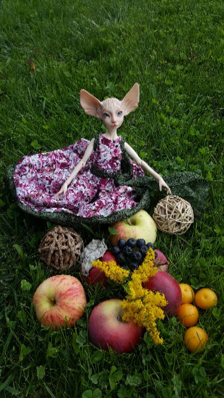 Последний летний день — Авторские куклы BJD (БЖД) у нас дома: фото (фото 2)