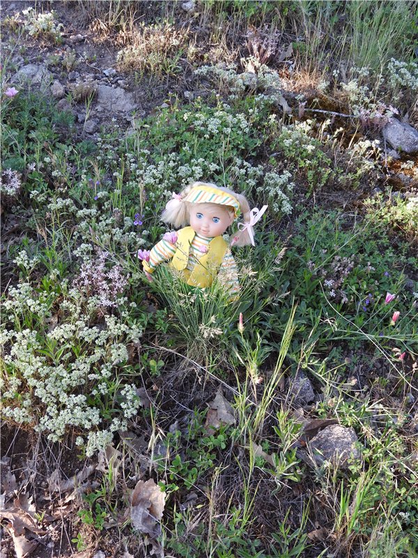 Любителям маленьких кукол