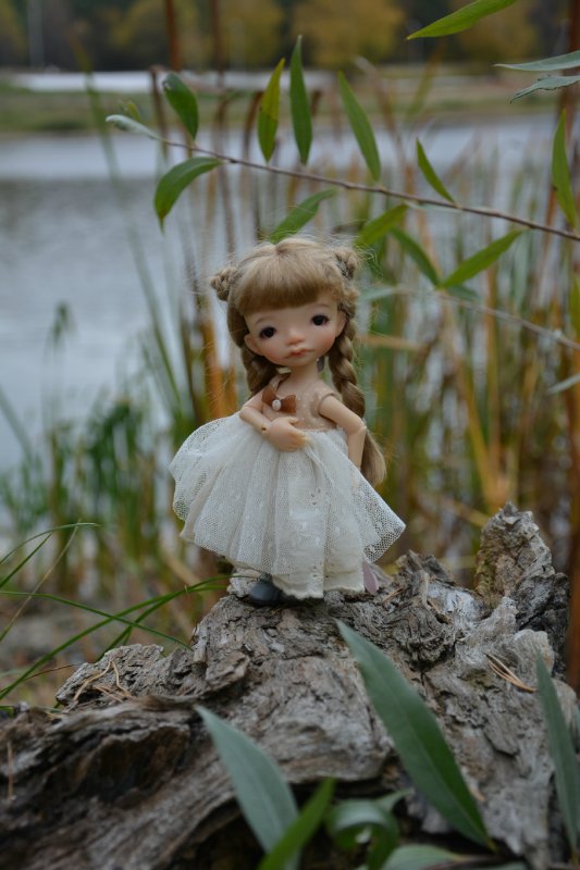 Осенняя прогулка! Irrealdoll (фото 6)