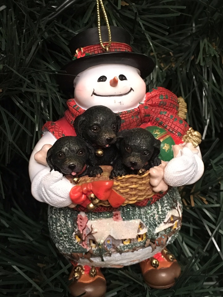 Новогодние красоты — Домашние коллекции кукол: фото собраний (фото 5)