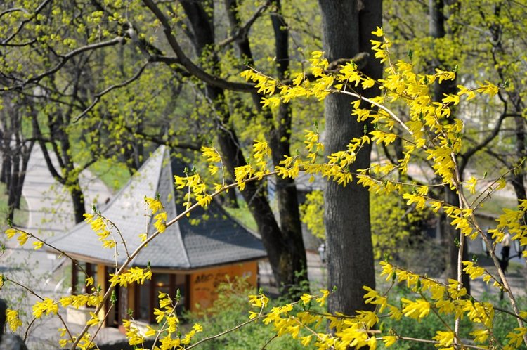 Рига - Москва, я жду тебя (фото 8)