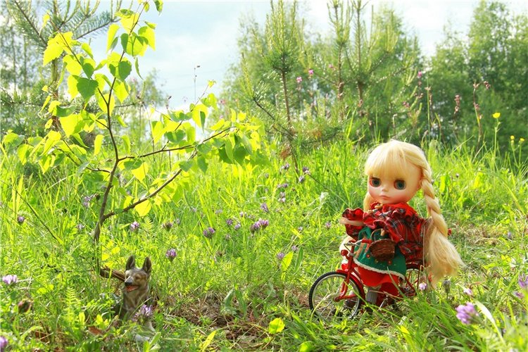 Путешествие в Сказку — Оригинальные куклы Blythe (Блайз): Takara