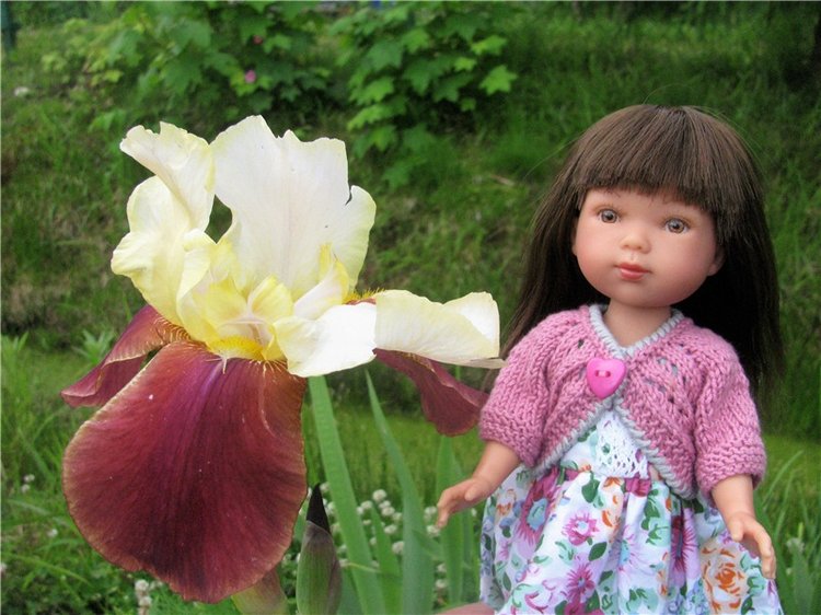 Мои куклы Vestida de Asul (фото 4)