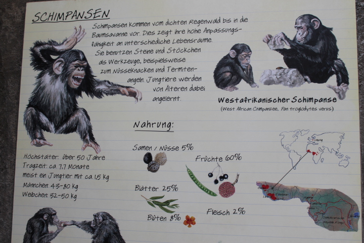 По Германии: зоопарк Лейпцига, часть 1